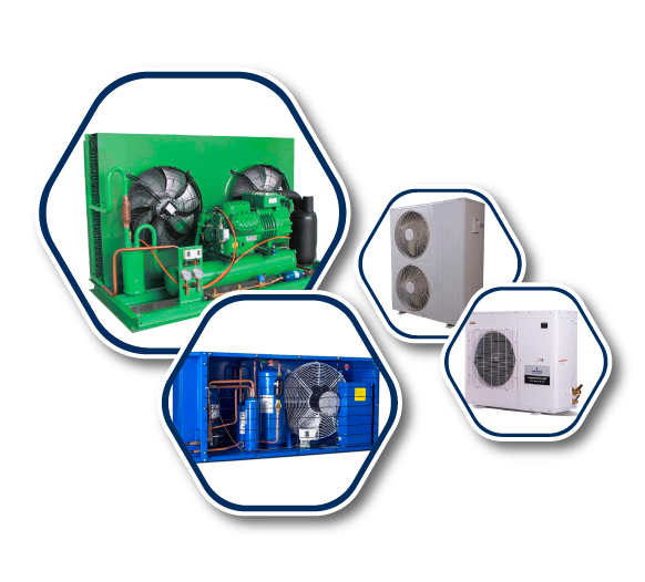 walk-in cold room manufacturer in India